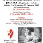 Esposizione Canina Padova 2012